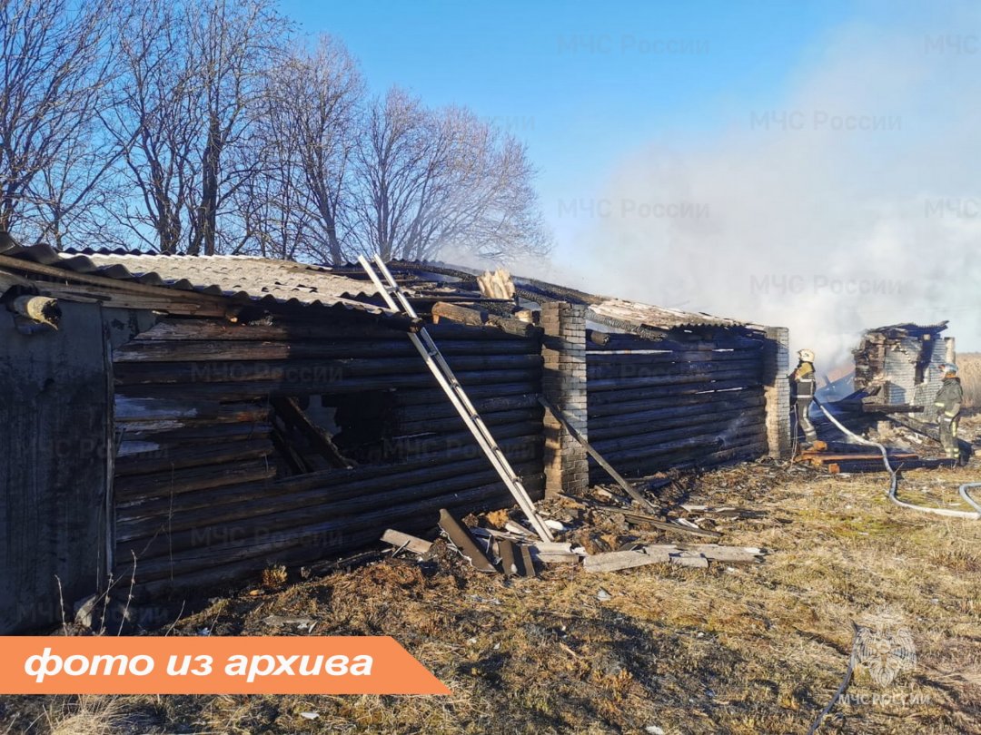 Пожарно-спасательное подразделение Ленинградской области ликвидировало пожар в Ломоносовском районе